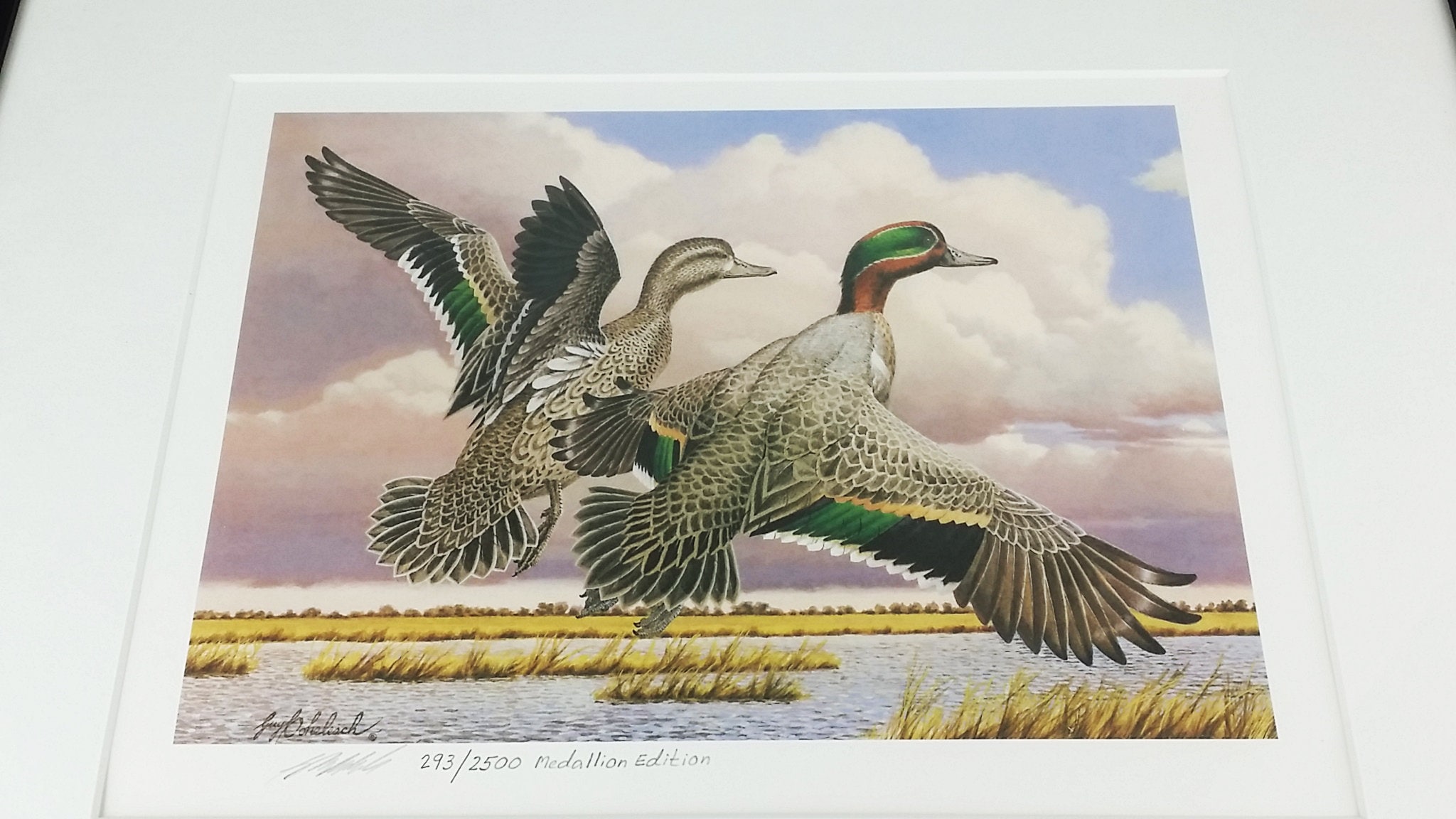 1987 Kansas Waterfowl Stamp Print Kansas Medallion Edition Etsy.de