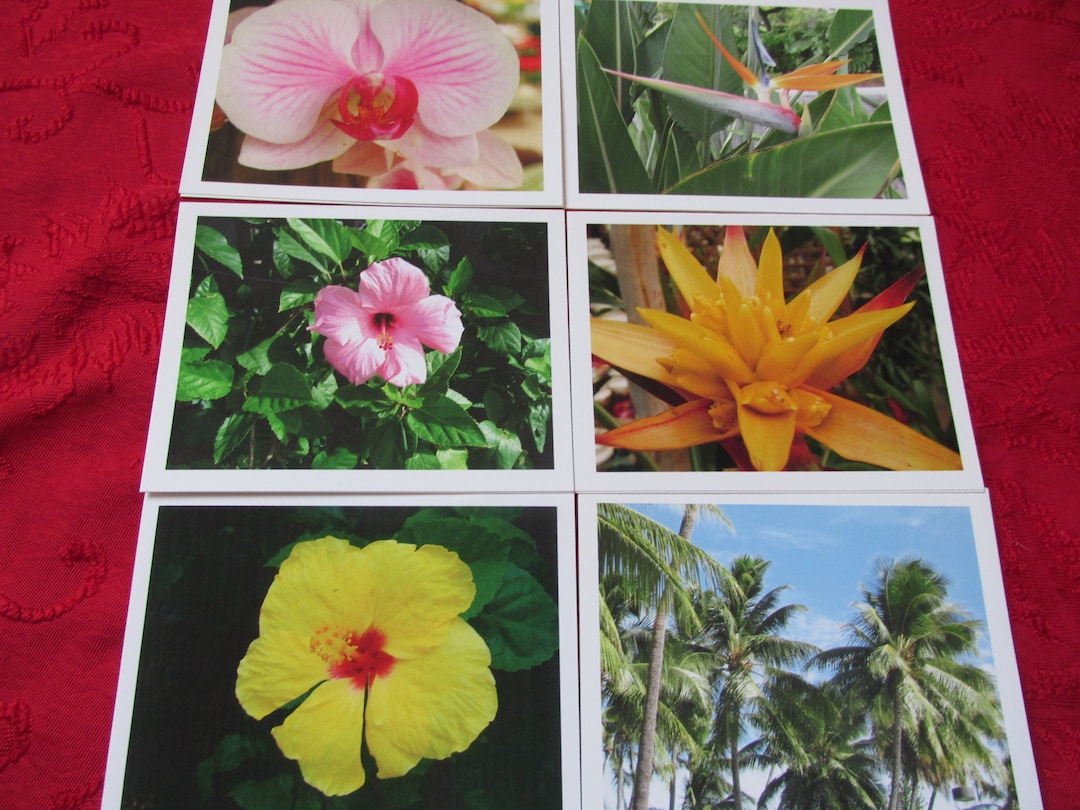 Handmade Tropical Flower Note Cards, Blank Inside, Set of 6 - Etsy