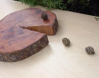 Arte con rodajas de madera natural, decoración rústica de árboles, centro de mesa hecho a mano con borde de corteza.
