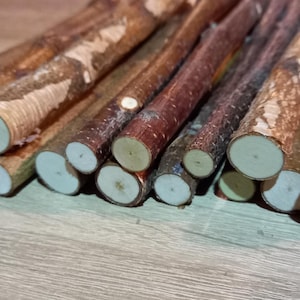 Set of 20 birch branches, birch twigs, rustic birch wood, natural wedding decor, vase decoration, wood sticks for DIY, rustic home decor