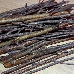 Set of 50 birch branches, birch twigs, rustic birch wood, natural wedding decor, vase decoration, wood sticks for DIY, rustic home decor