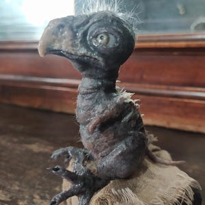 May include: A detailed sculpture of a creature with a bird-like beak, large eye, and sparse, wispy hair. The figure is primarily dark gray and brown, with a textured appearance. It sits atop a tan, frayed fabric.