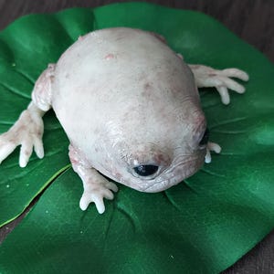 Fantasievolle Silikon-Froschskulptur mit Seerosenblatt, hyperrealistische Taschenmonster-Kunstpuppe, gotisches Kuriositäten-Geschenk Bild 3