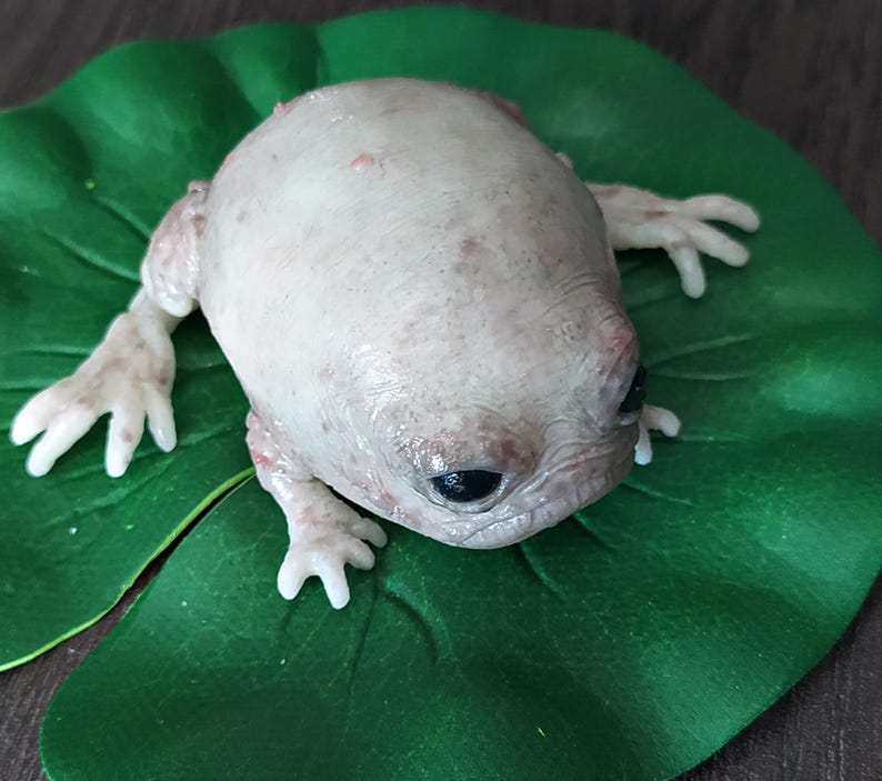 Fantasievolle Silikon-Froschskulptur mit Seerosenblatt, hyperrealistische Taschenmonster-Kunstpuppe, gotisches Kuriositäten-Geschenk Bild 3