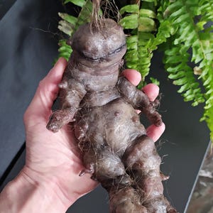 Puede incluir: Una escultura humanoide marrón con una superficie texturizada, extremidades pequeñas y una cara sonriente. La escultura tiene mechones de fibras capilares y se sostiene contra un fondo de follaje verde.