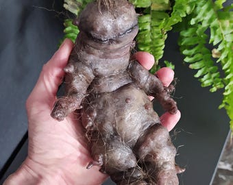 Mandrágora viviente, Tamaño natural, 22 cm, Laberinto del Fauno, figura sobre plato de resina