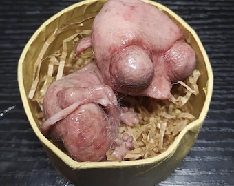 Baby Ren, Muñeca Renacida, Silicona Platino, Mascota En Miniatura, Dibujos Animados 80s, Criatura, Animales extraños, 9 cm