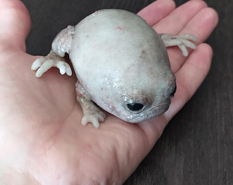 Criatura anfibia de silicona con hoja de lirio, 8 cm, rana sapo