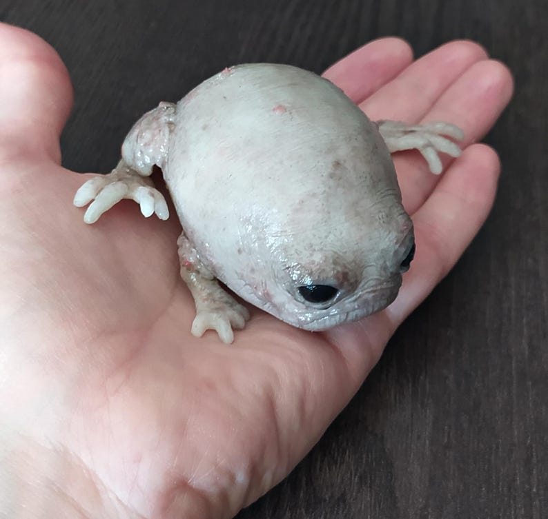 Fantasievolle Silikon-Froschskulptur mit Seerosenblatt, hyperrealistische Taschenmonster-Kunstpuppe, gotisches Kuriositäten-Geschenk Bild 1