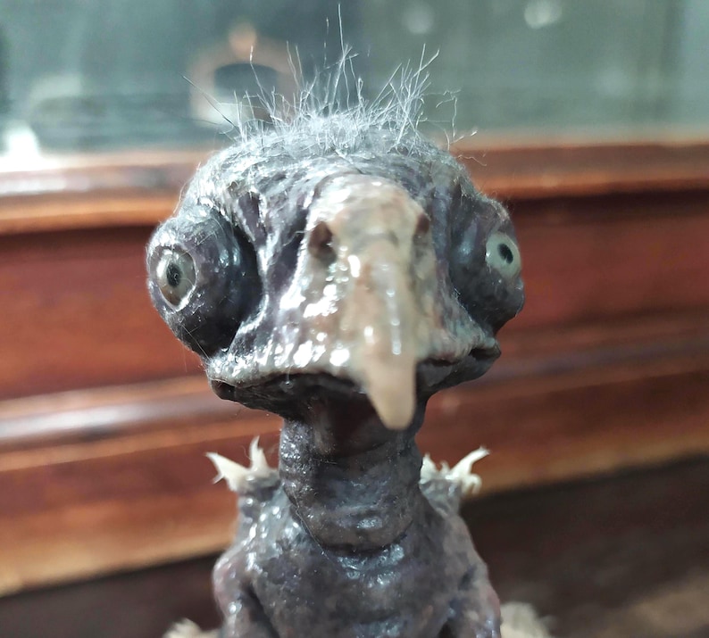 May include: A close-up of a dark gray, bird-like sculpture with a pale beak and large, round eyes. The sculpture has a tuft of light gray hair on its head and small, white appendages. The background is blurred.