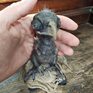 May include: A dark gray, fantastical bird-like sculpture with large eyes and a beak. The creature is perched on a piece of burlap. The sculpture has a textured appearance and is held in a hand.