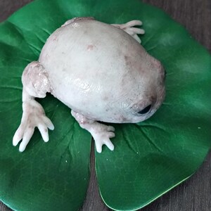 Fantasievolle Silikon-Froschskulptur mit Seerosenblatt, hyperrealistische Taschenmonster-Kunstpuppe, gotisches Kuriositäten-Geschenk Bild 7