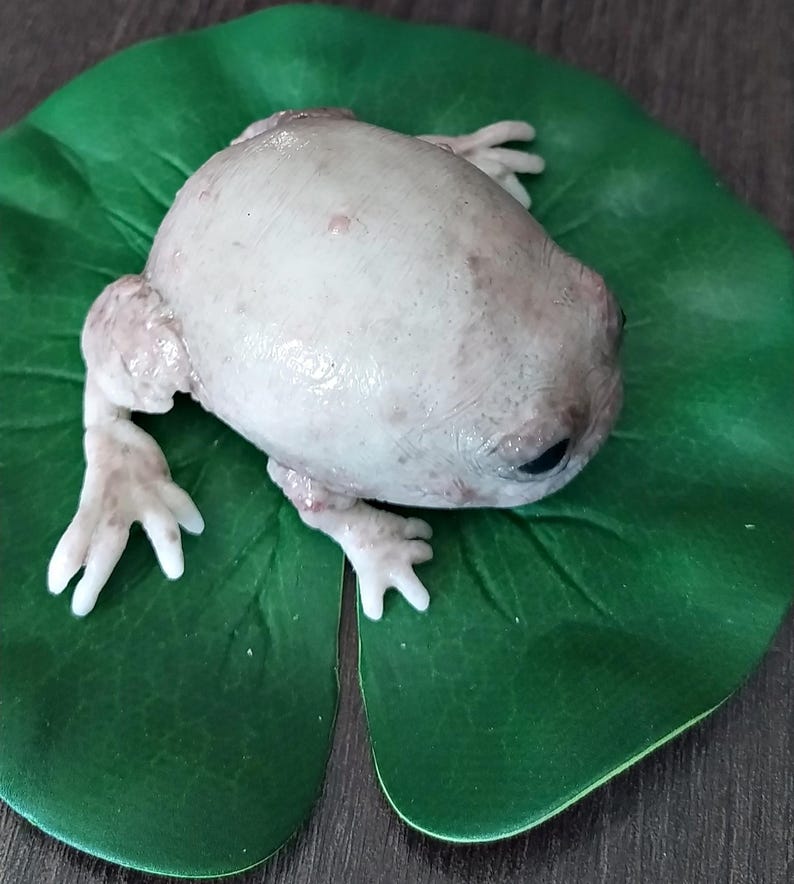 Fantasievolle Silikon-Froschskulptur mit Seerosenblatt, hyperrealistische Taschenmonster-Kunstpuppe, gotisches Kuriositäten-Geschenk Bild 7