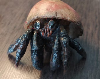 Cangrejo Ermitaño de Silicona de Platino con Concha de Resina, 6 cm