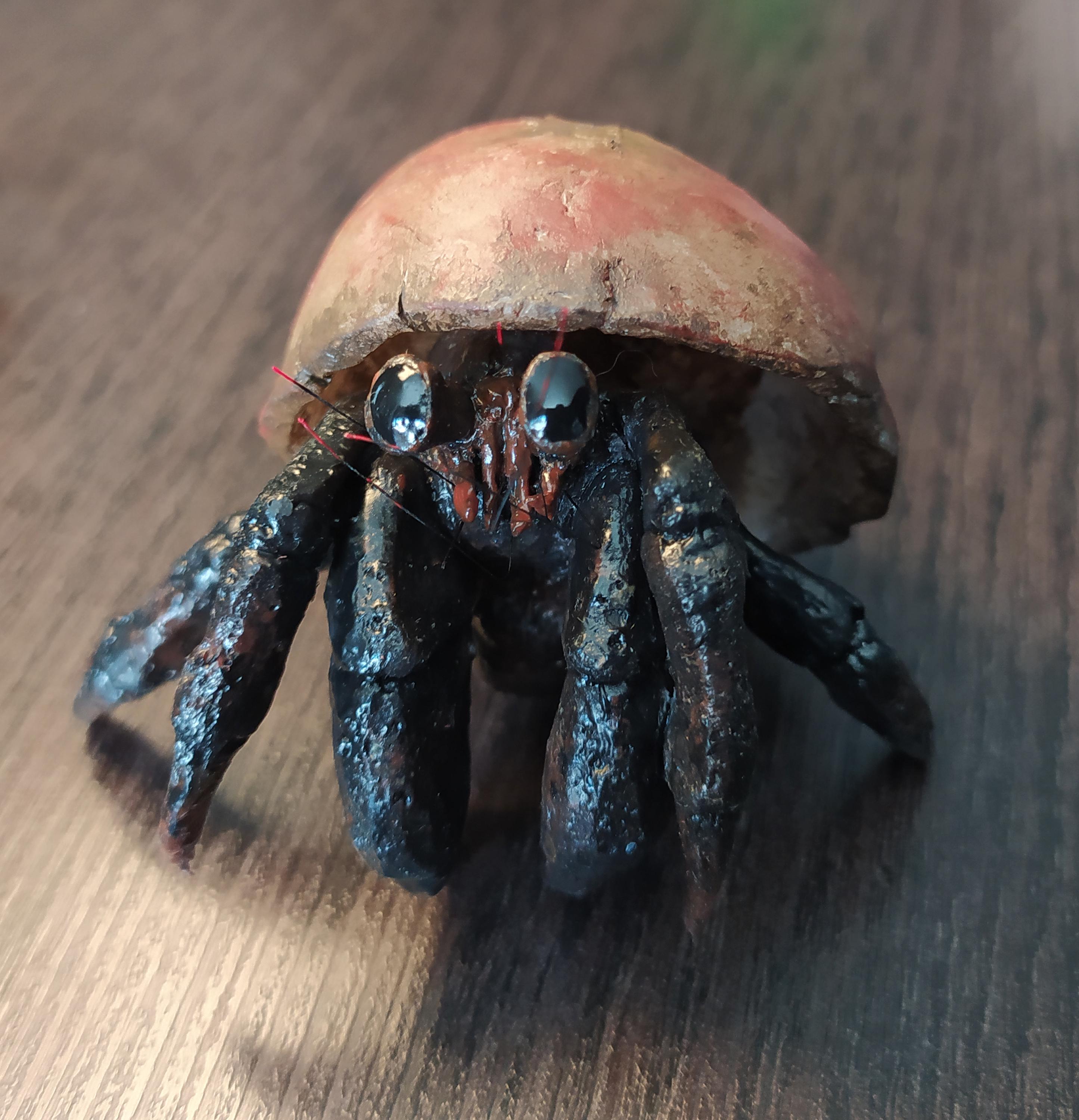 Platinum Silicone Hermit Crab Figure, Detailed Resin Shell, 2.4