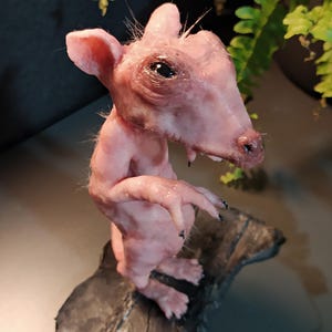 Könnte beinhalten: Eine rosa, haarlosen Ratten-Skulptur mit schwarzen Augen und Krallen, die auf einem dunkelgrauen, strukturierten Sockel steht. Die Ratte hat ein detailliertes, realistisches Aussehen mit sichtbaren Falten und leicht geöffnetem Mund. Die Skulptur steht vor einem verschwommenen Hintergrund.