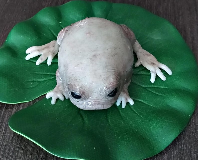 Fantasievolle Silikon-Froschskulptur mit Seerosenblatt, hyperrealistische Taschenmonster-Kunstpuppe, gotisches Kuriositäten-Geschenk Bild 4