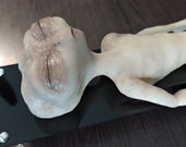 Gray Alien Extraterrestrial Autopsy 32 cm 13&quot; ET Martian Ufo Platinum Silicone Creature Doll Reptilian Monster Abduction Sleeping Roswell 51