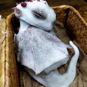 Könnte beinhalten: Eine kleine, drachenähnliche Kreaturenfigur mit einem glatten, blassen Körper, dunklen geschlossenen Augen und durchscheinenden Flügeln mit feiner grauer und rötlicher Äderung. Die Figur hat kleine, spitze rote Stacheln am Kopf und Rücken.