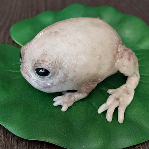 Toad Frog Amphibian Pond Swamp Platinum Silicone Reborn Soft Cute Slimy water lily Monster Fantasy Artificial leaves