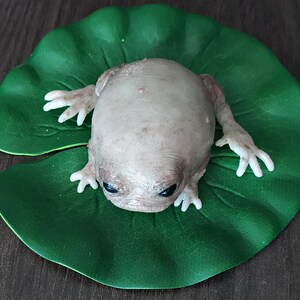 Fantasievolle Silikon-Froschskulptur mit Seerosenblatt, hyperrealistische Taschenmonster-Kunstpuppe, gotisches Kuriositäten-Geschenk Bild 9
