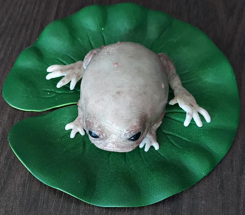 Fantasievolle Silikon-Froschskulptur mit Seerosenblatt, hyperrealistische Taschenmonster-Kunstpuppe, gotisches Kuriositäten-Geschenk Bild 9
