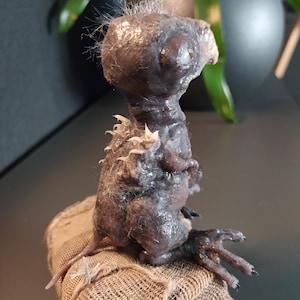 May include: A dark, textured sculpture of a creature with a large head, small body, and clawed hands. The sculpture is dark purple and gray, with a rough, organic appearance. It sits on a small, burlap-covered base.