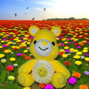 Fun Bear