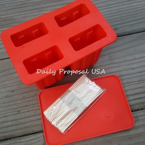 4 in 1 Ice Popsicle Silicone Mold Frozen Yogurt Candy Popsicle Ice Cream Summer Treat Family Party Homemade Food Craft
