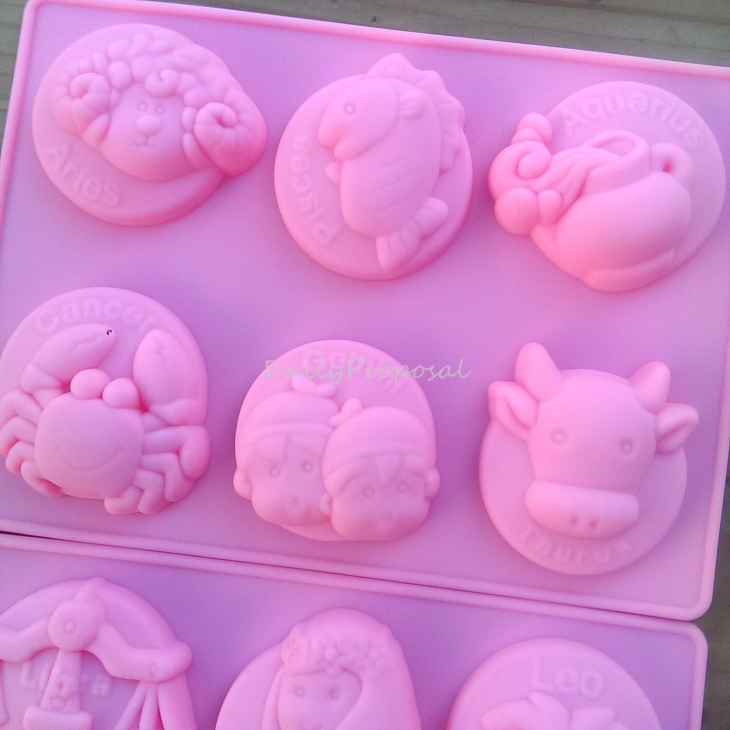 12 Horoscope Zodiac Sign Silicone Mold Bakeware Baking Cookie Etsy