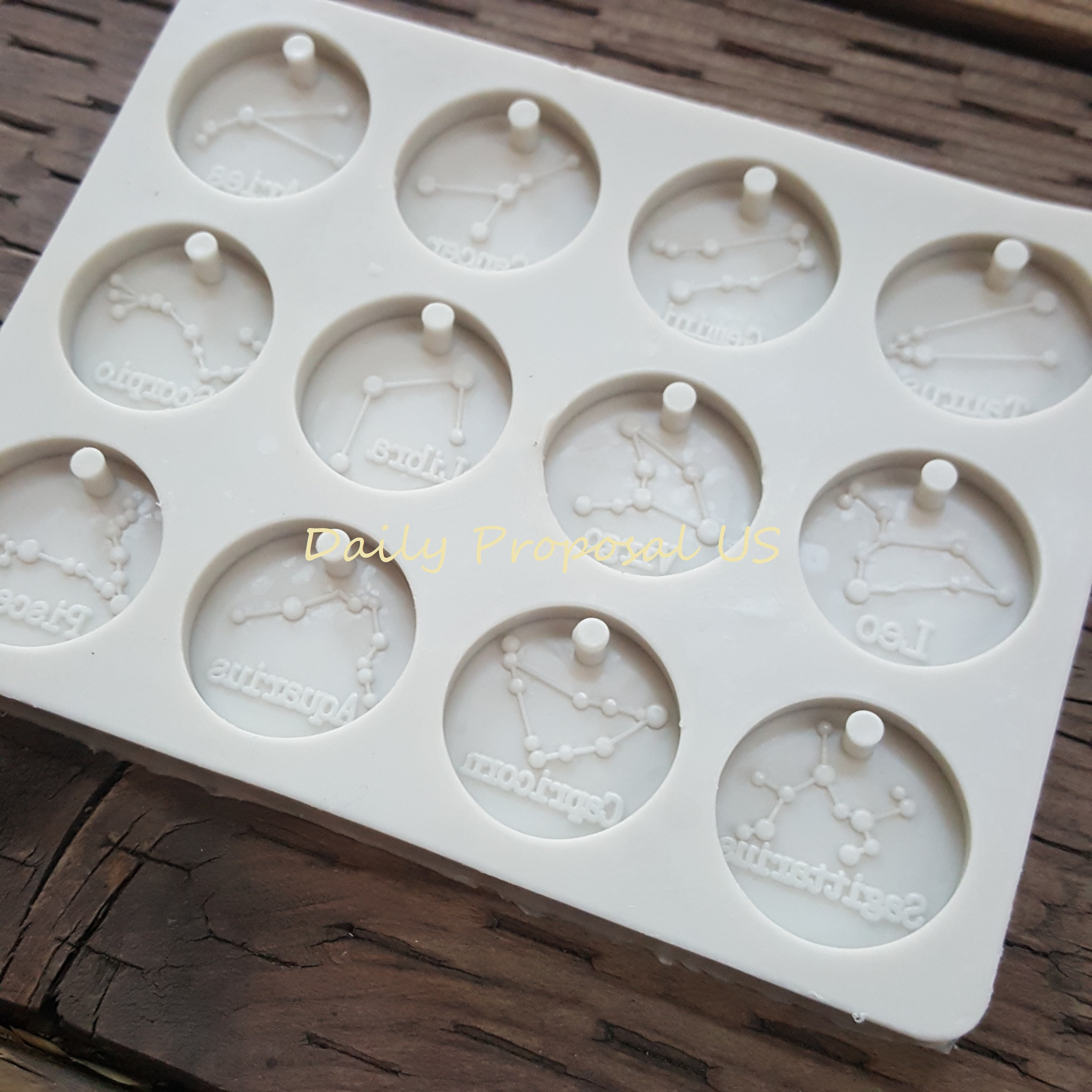 12 Horoscope Zodiac Sign Silicone Mold Small Round Pendent Etsy
