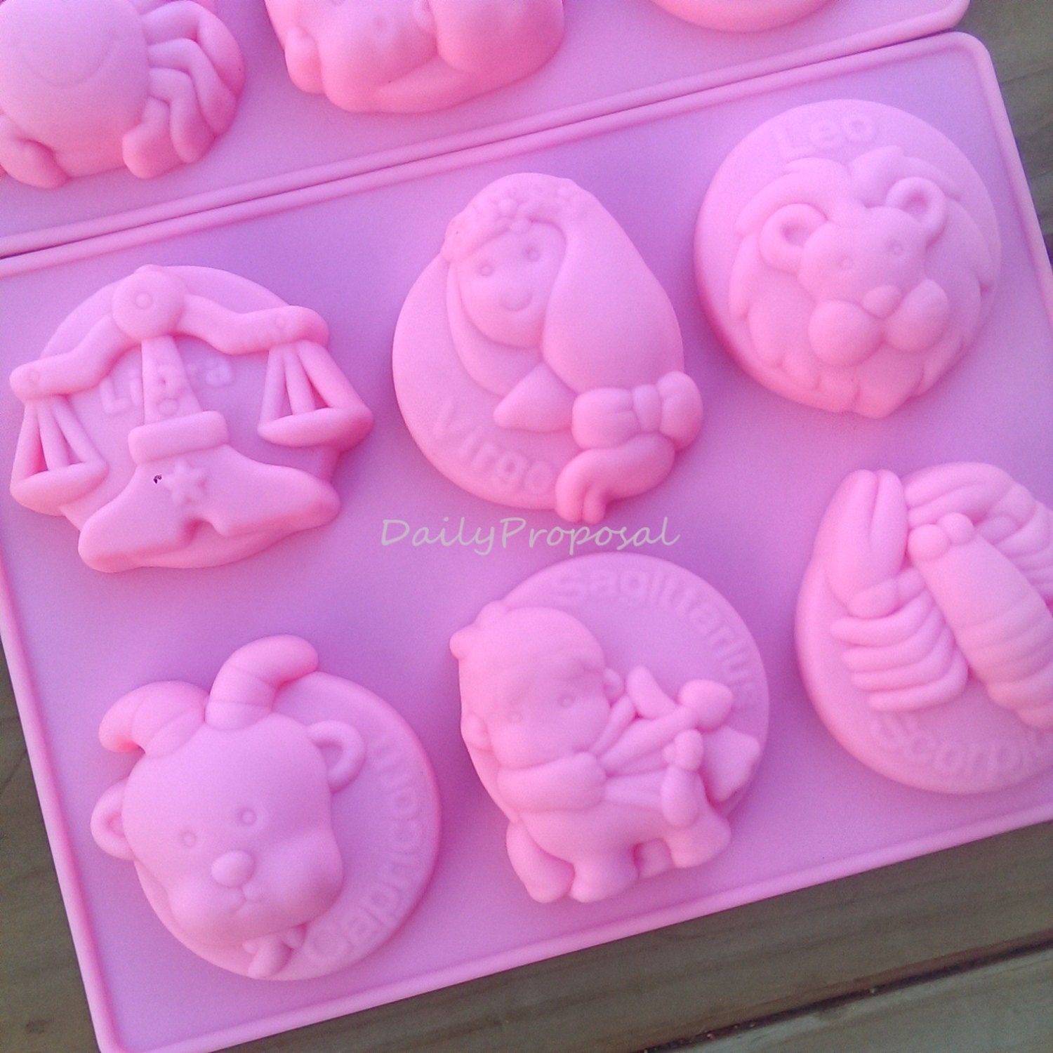 12 Horoscope Zodiac Sign Silicone Mold Bakeware Baking Cookie Etsy