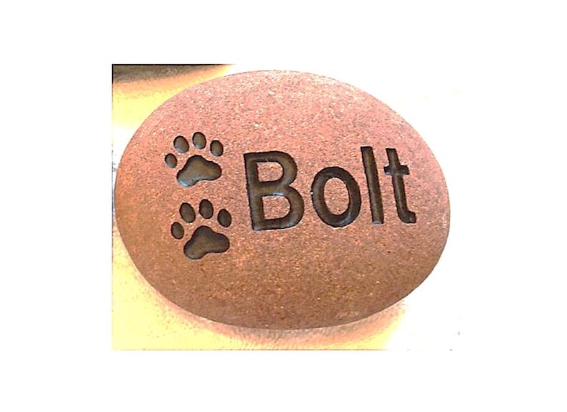 May include: A brown stone engraved with two paw prints and the name "Bolt".