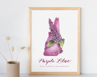 New Hampshire State Flower And Shape Purple Lilac Watercolor Fine Art Print