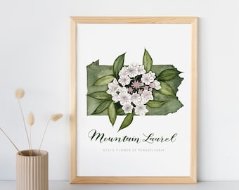 Pennsylvania State Flower And Shape | Mountain Laurel Watercolor and Lettering Fine Art Print
