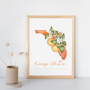 Pittura ad acquerello e scritte del fiore dello stato del fiore d'arancio della Florida