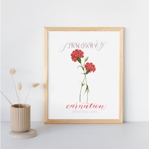 Könnte beinhalten: Ein gerahmter Druck mit einer Aquarellillustration von zwei roten Nelkenblüten. Das Wort "Januar" ist in Schreibschrift geschrieben, darunter "Nelke" und "ergebene Liebe". Der Rahmen ist aus hellem Holz.