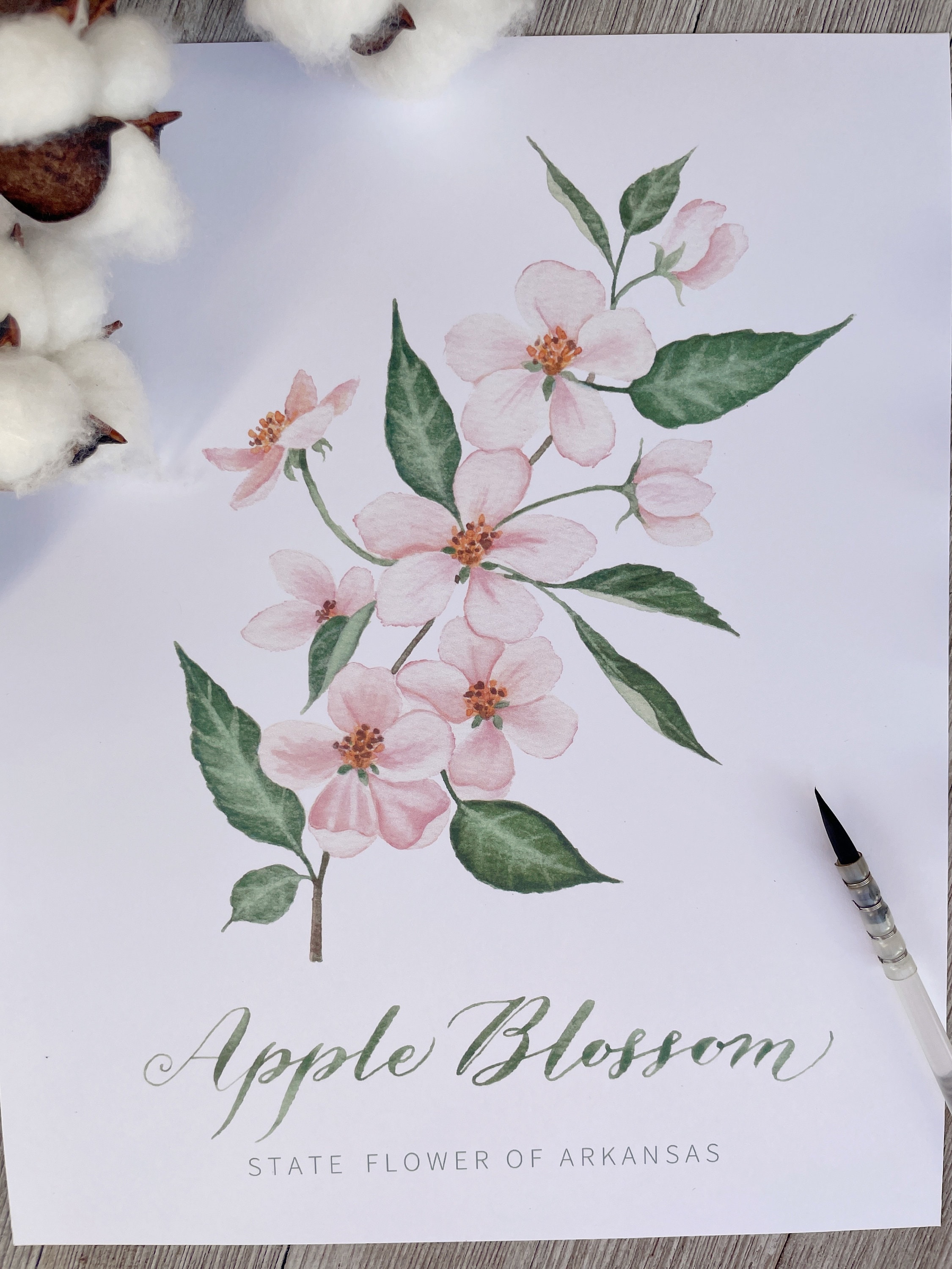 Arkansas State Flower Print | Apple Blossom Watercolor Painting and ...