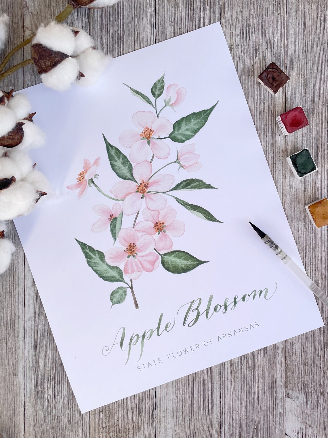 Arkansas State Flower Print | Apple Blossom Watercolor Painting and ...