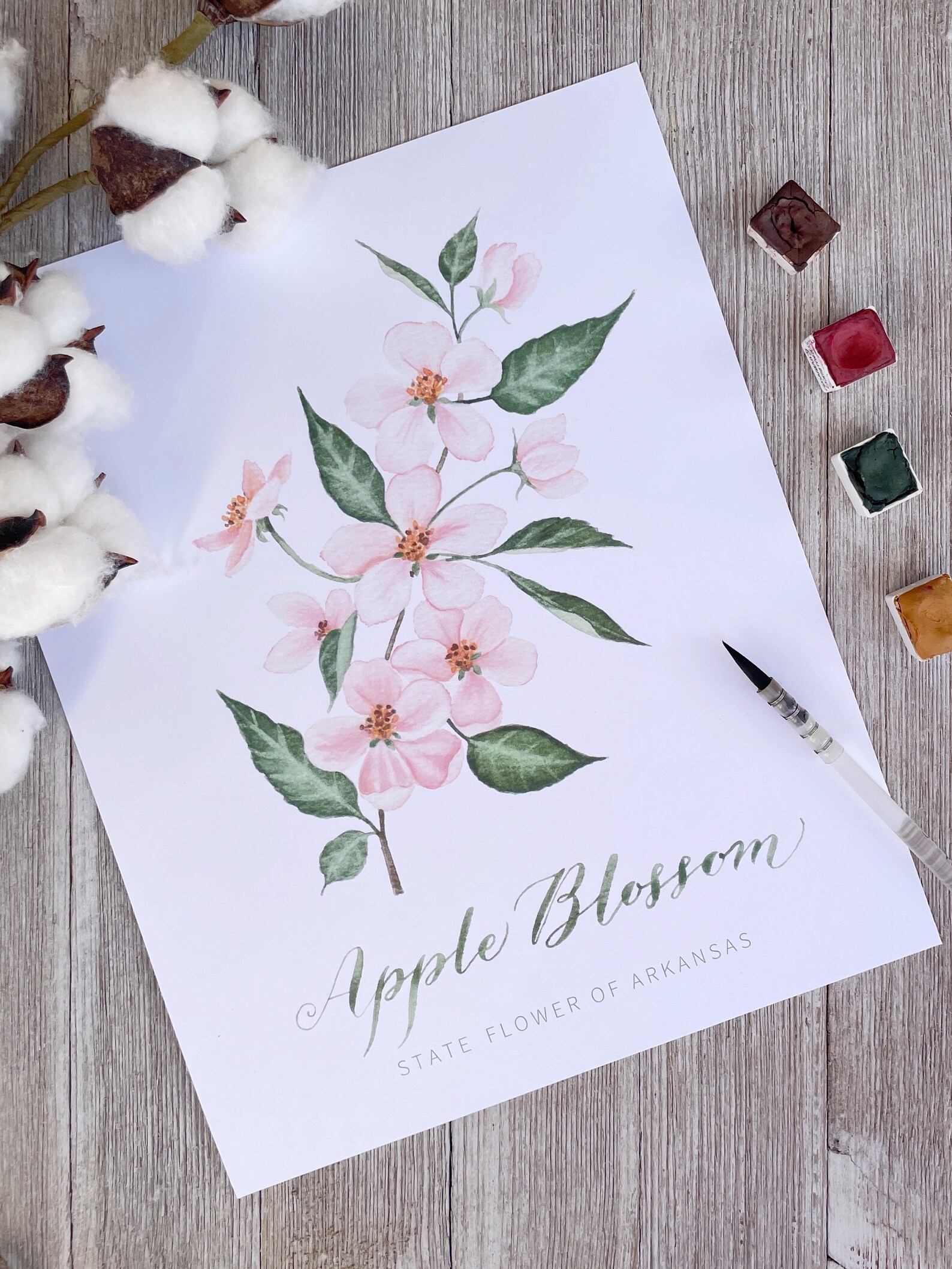 Arkansas State Flower Print | Apple Blossom Watercolor Painting and ...