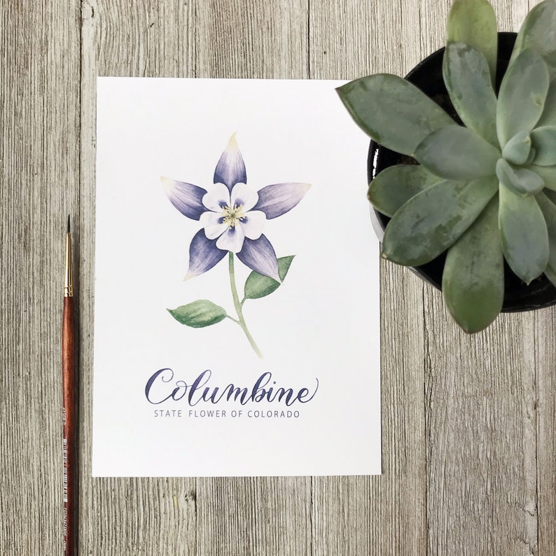 Colorado Columbine State Flower Watercolor Painting and Lettering - Etsy