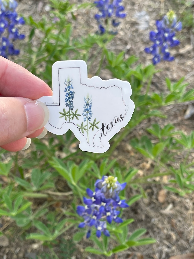 May include: A white sticker in the shape of Texas, featuring bluebonnet flowers and the word "Texas" in script. The sticker has a black outline and a watercolor design. The background shows bluebonnet flowers.