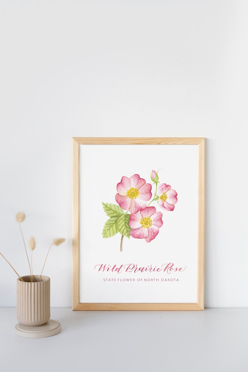 North Dakota Wild Prairie Rose Art Print: Watercolor State Flower - Etsy