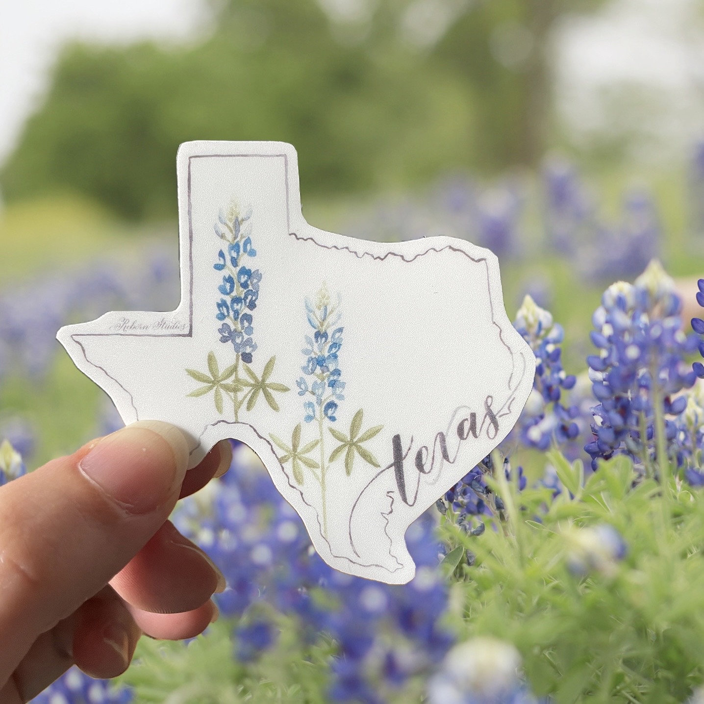 GJTIM Texas Geschenktasche – Make-up-Tasche Mit Texas-Lone-Star-Print, 24x16,5 Cm