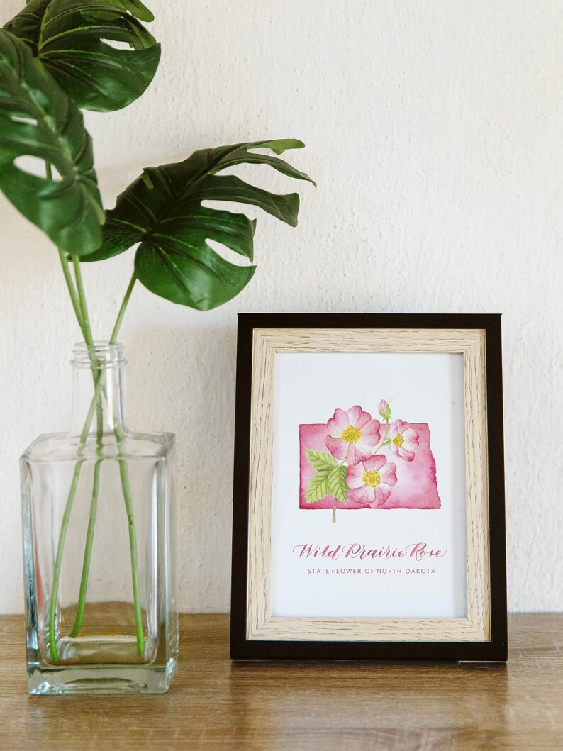 North Dakota Wild Prairie Rose Art Print: Watercolor State Flower - Etsy