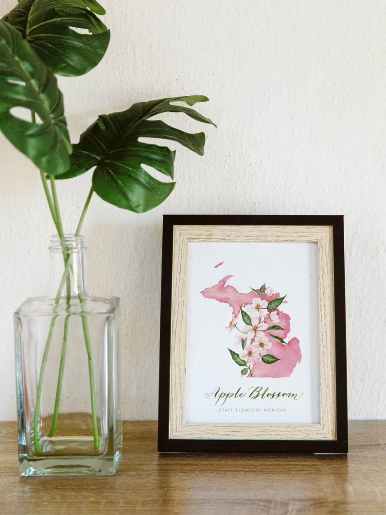 Michigan State Flower and Shape Apple Blossom Fine Art Watercolor Print ...