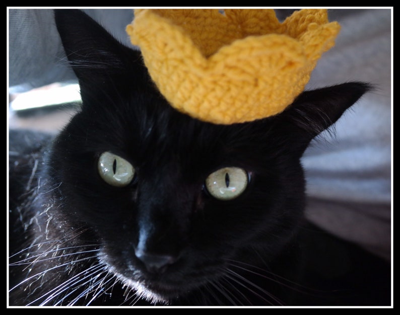 Made with USA made yarn King or Queen Crown for your cat or dog Gift for Cat or Dog owner