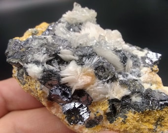 Barite Cerusite Galena Crystal Cluster Specimen Natural Raw Baryte Blades Morocco Collector Mineral Specimen