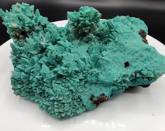 Rare Kobyashevite Mineral Specimen with Selenite Needles, Ojuela Mine