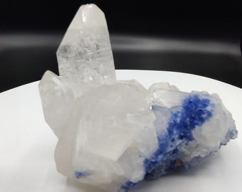 Rare Dumortierite Quartz Points Cluster: Blue Inclusion Crystal